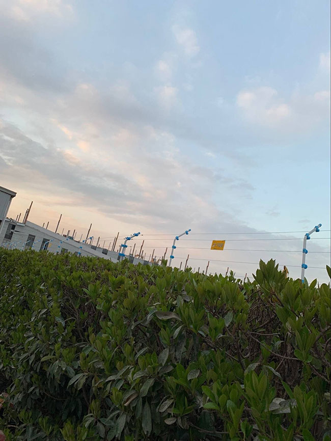 長(zhǎng)三角工業(yè)園區(qū)電子圍欄