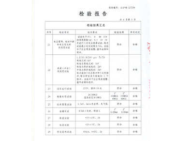 檢驗報告5