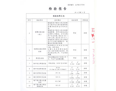 檢驗報告3