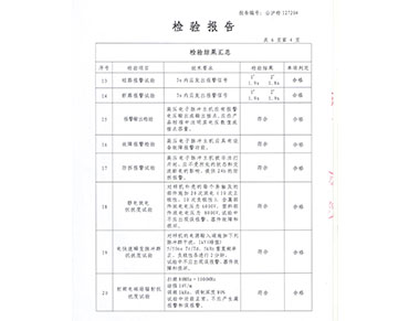 檢驗報告4